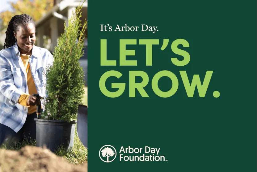 It's Arbor Day Let's Grow yard sign.