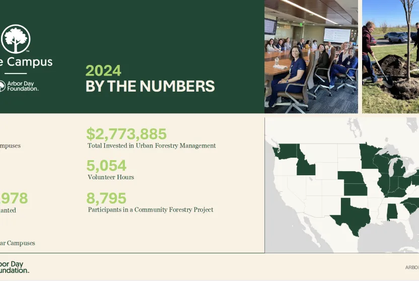 Tree Campus Healthcare infographic.