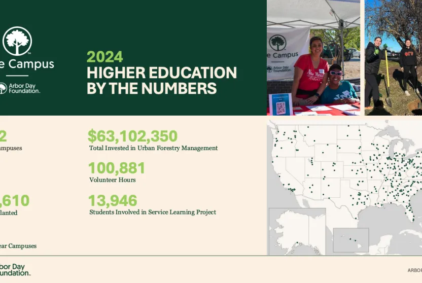 Tree Campus Higher Education infographic for 2024.