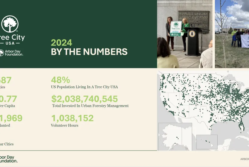 Tree City USA 2024 infographic.