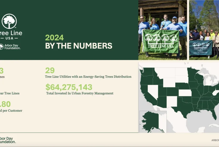 Tree Line USA 2024 infographic.
