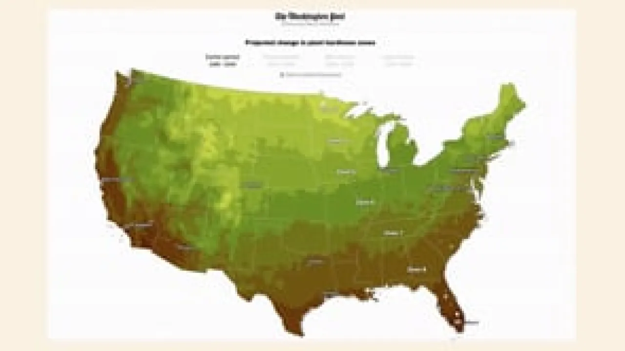 Trees as a Solution to the World’s Most Pressing Problems | Arbor Day ...