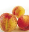 Hale-Haven Peach