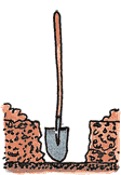 Illustration of a bare root tree being planted according to the second step.