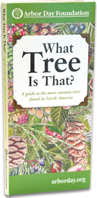 What Tree is That? Pocket Field Guide